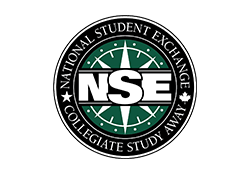 Boton NSE Logo